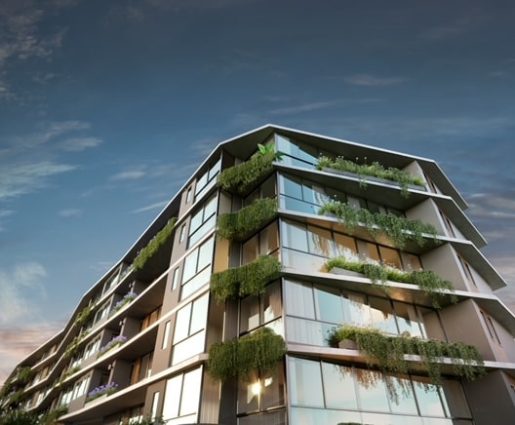 Novo projeto residencial no quinhão 16, dentro do Reserva Jardim Botânico em Brasília- DF