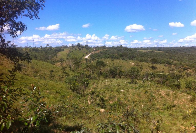 Cerrado_-_panoramio_(20)